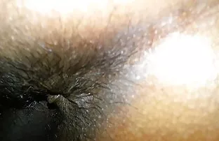 XXX ققنوس ماری سیاه پوستان را سیاه و سکس انلاین اچ دی سفید بوسه
